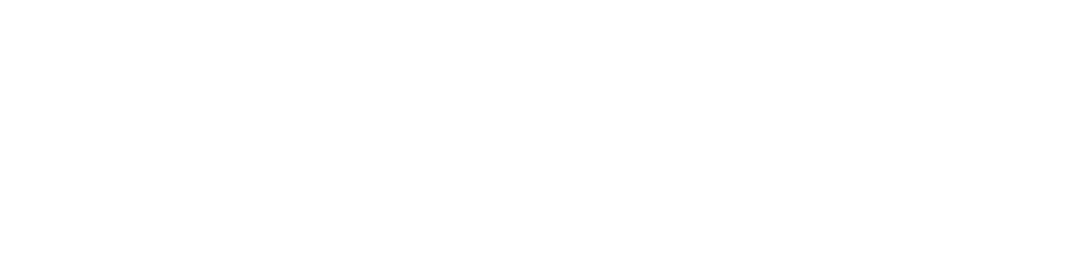 Sanner